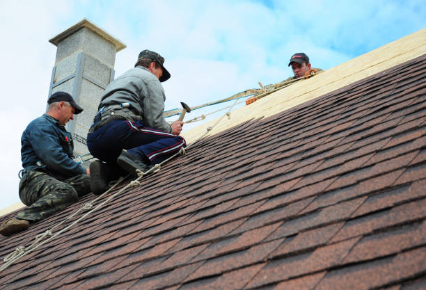 Professional Roofing Contractor in Lenape Heights, PA
